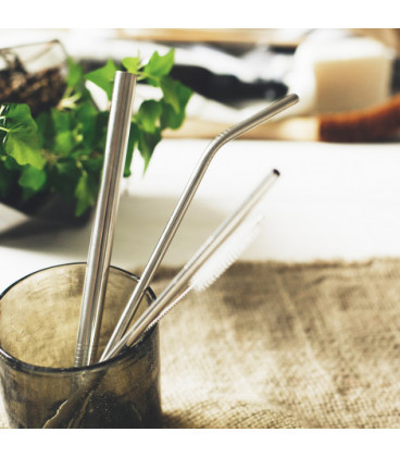 Stainless Steel Straw Set