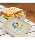 Choice Sandwich Box