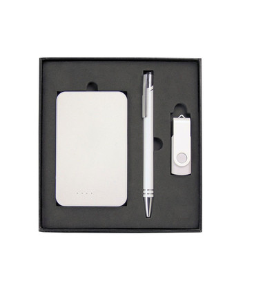 Gift Set with Charger, 8Gb Lacquered Rotate Flash Drive & Hawk Pen