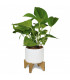 Planter with Bamboo Base