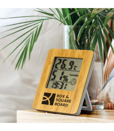 Bamboo Weather Station