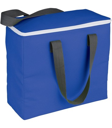 Arctic Zone®  30-Can Foldable Freezer Tote